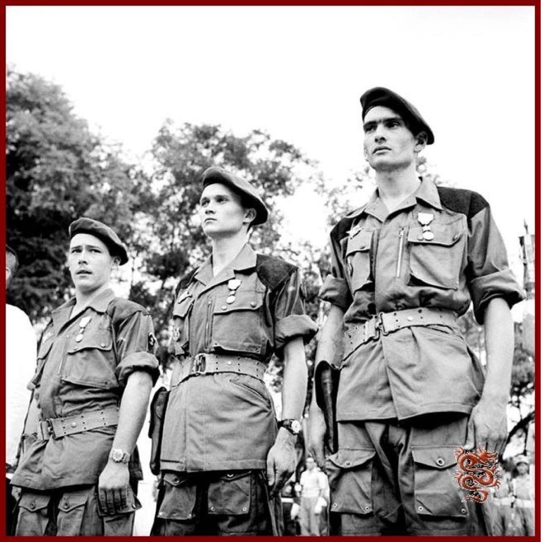 インドシナ戦争　フランス軍　パラジャケット